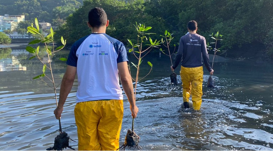 Equipe do Instituto Terrazul transportando mudas de mangue