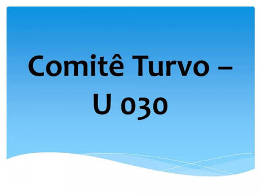 comitê turvo